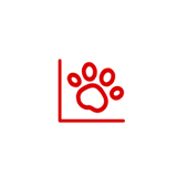 沈陽SEO網站優化公司-文案優化